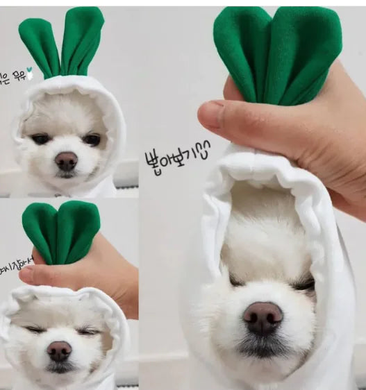 Cute Fruit Hoodie for Small Dogs