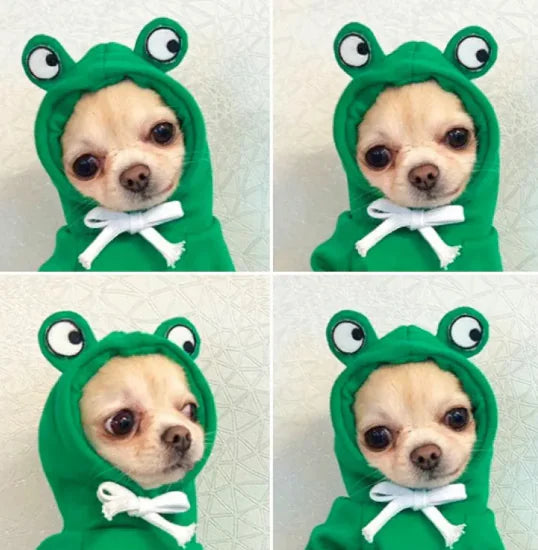 Cute Fruit Hoodie for Small Dogs