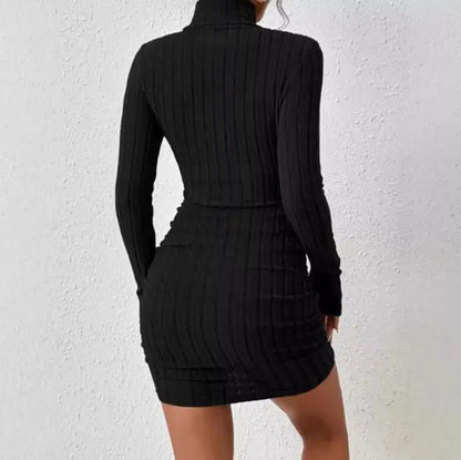 Turtleneck Slim Fit Knitted Elegant Dress