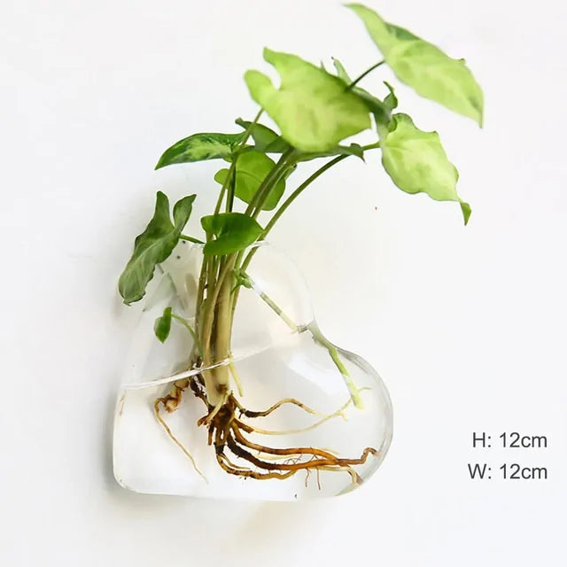 Wall Hanging Glass Vase