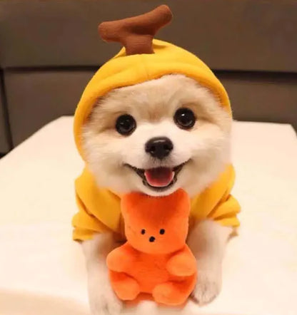 Cute Fruit Hoodie for Small Dogs