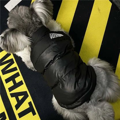 Puppy Warm Black Down Vest Jacket