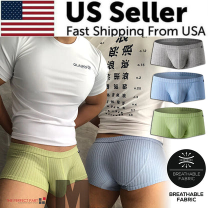 Men's Sexy Underwear Low waist Briefs U Pouch Boxers Striped Shorts Underpants