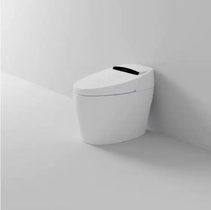 Smart Toilet With Built-in Bidet