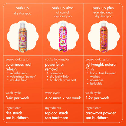 amika perk up talc-free dry shampoo 1.8 Ounce (Pack of 1)