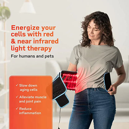 Infrared Therapy Waist Belt