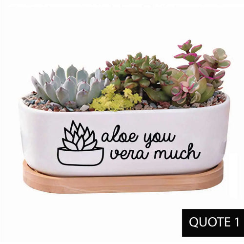 Message in a Planter - Oval 7" Emotional Support Plant