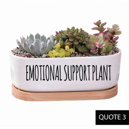 Message in a Planter - Oval 7" Emotional Support Plant