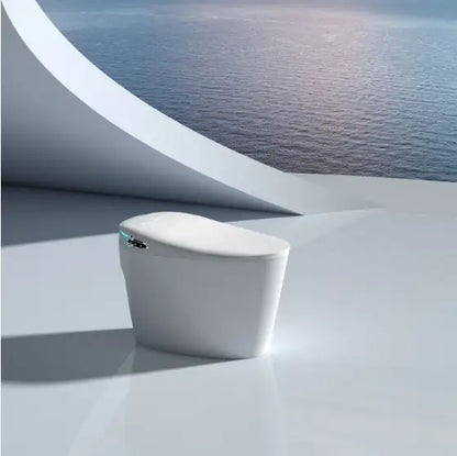 Smart Toilets