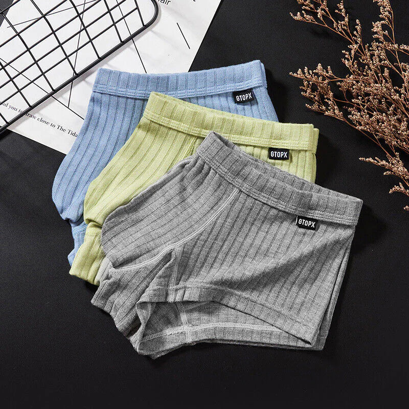 Men's Sexy Underwear Low waist Briefs U Pouch Boxers Striped Shorts Underpants