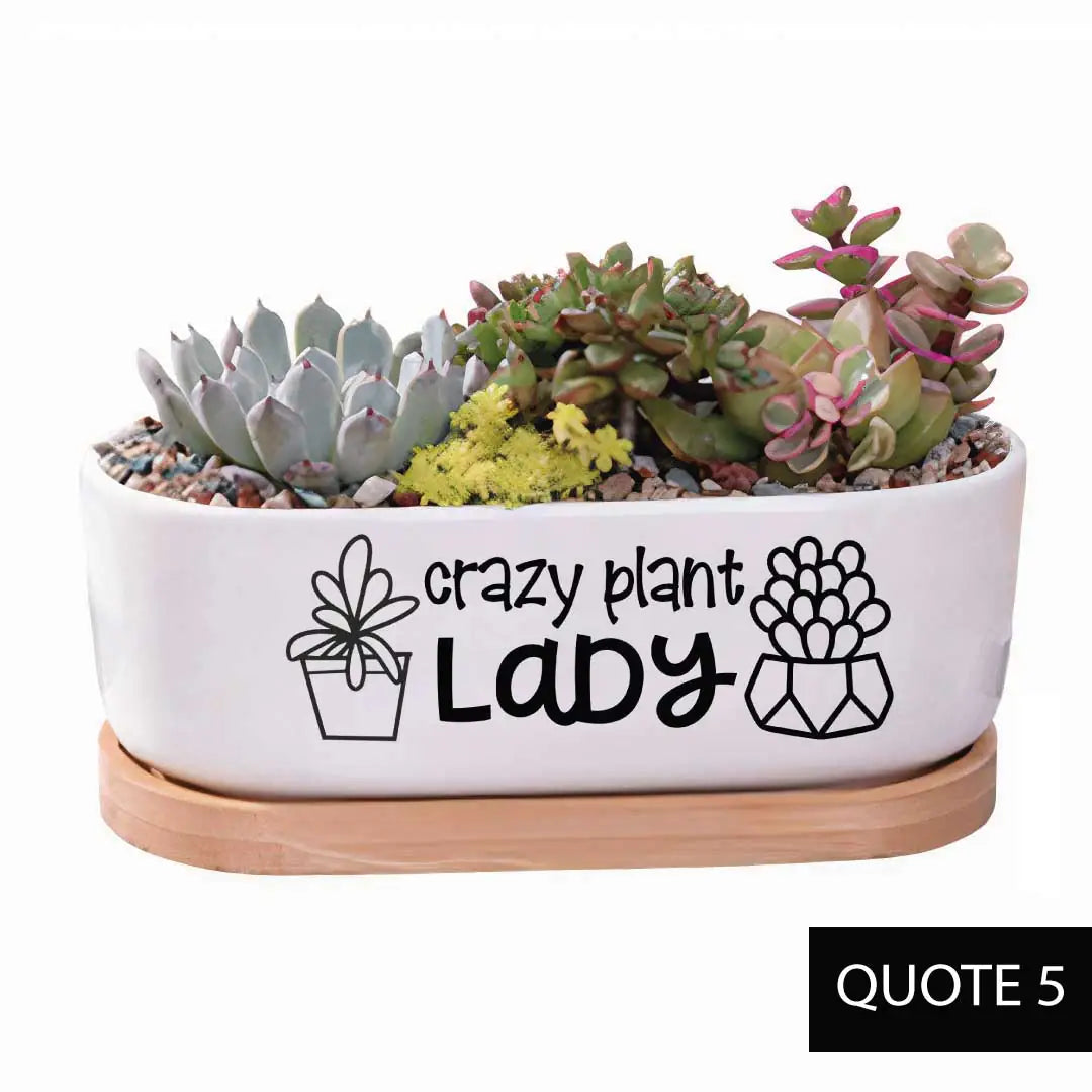 Message in a Planter - Oval 7" Emotional Support Plant