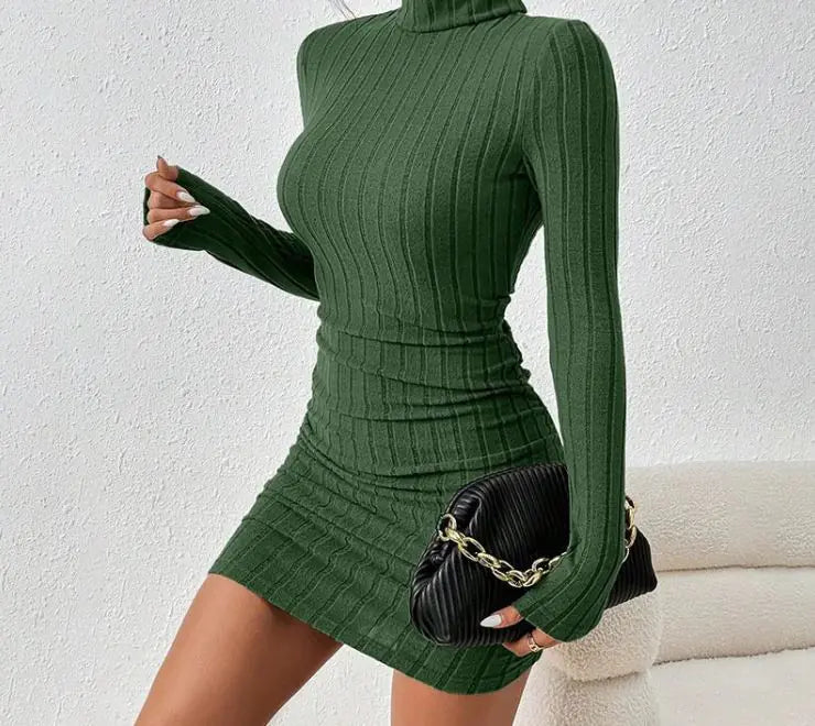 Turtleneck Slim Fit Knitted Elegant Dress