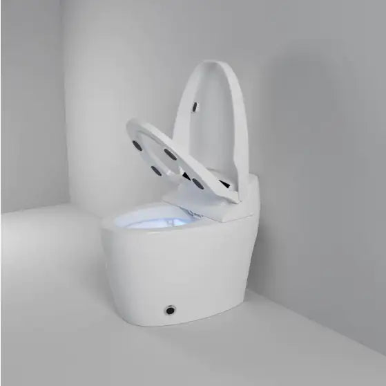 Smart Toilet With Built-in Bidet