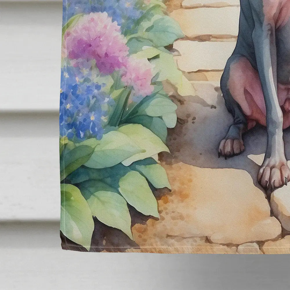 American Hairless Terrier Spring Garden House Flag