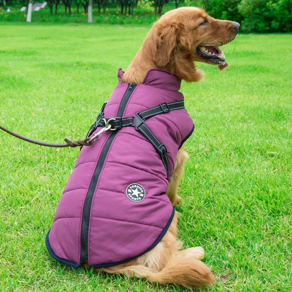 Dog Cotton Winter Vest