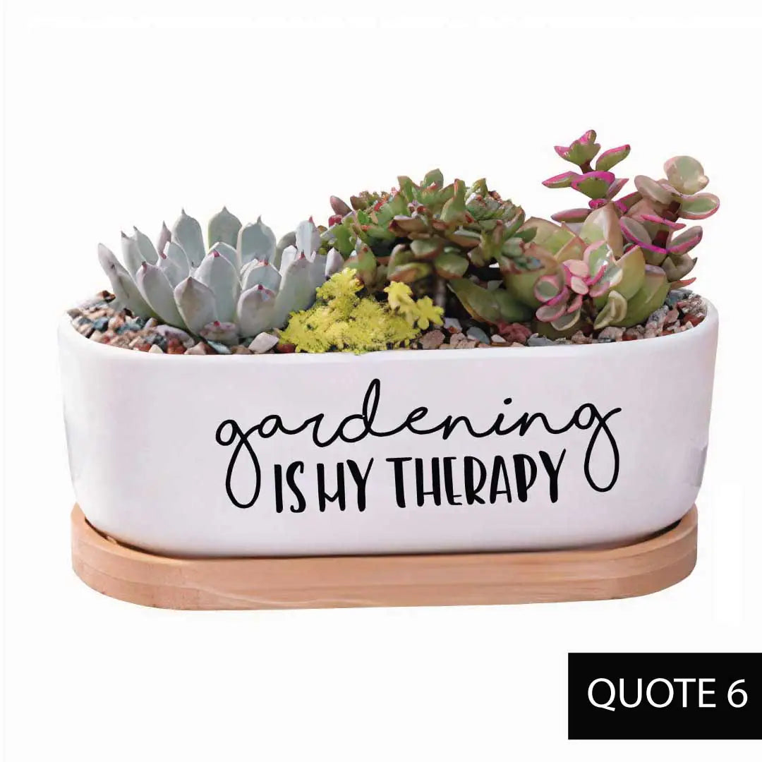 Message in a Planter - Oval 7" Emotional Support Plant