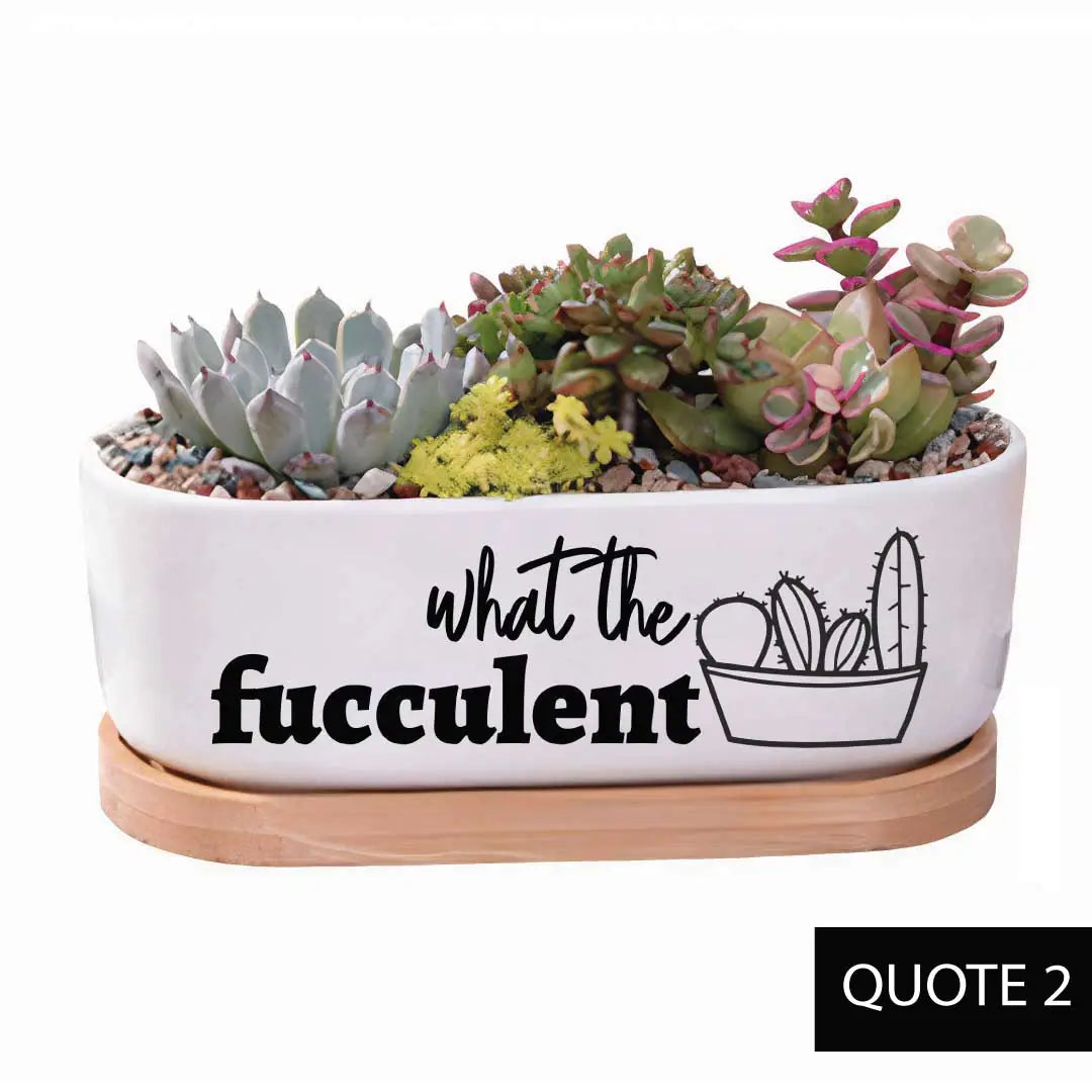 Message in a Planter - Oval 7" Emotional Support Plant