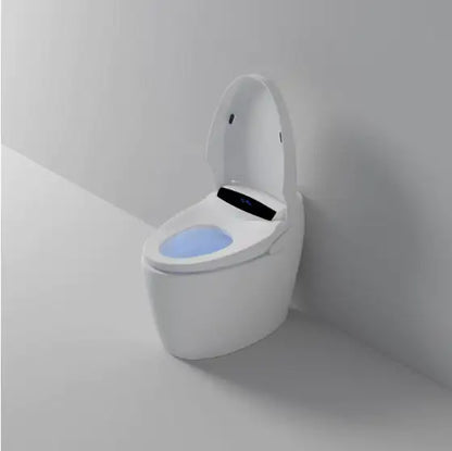 Smart Toilet With Built-in Bidet