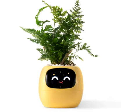 Smart Planter with AI Sensors and Rich Expressions