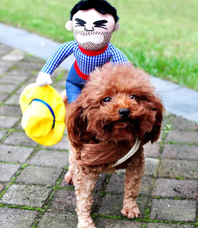 Halloween Pet Costume