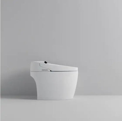 Smart Toilet With Built-in Bidet