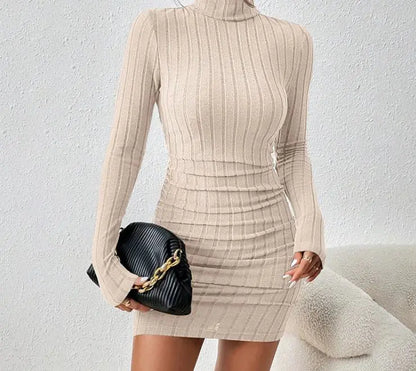 Turtleneck Slim Fit Knitted Elegant Dress