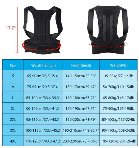 Humpback Correction Belt